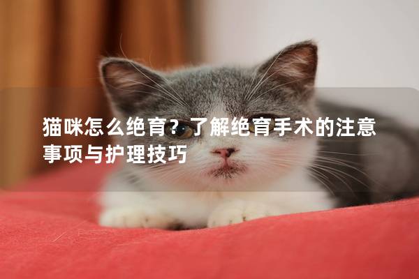 貓咪怎么絕育？了解絕育手術的注意事項與護理技巧