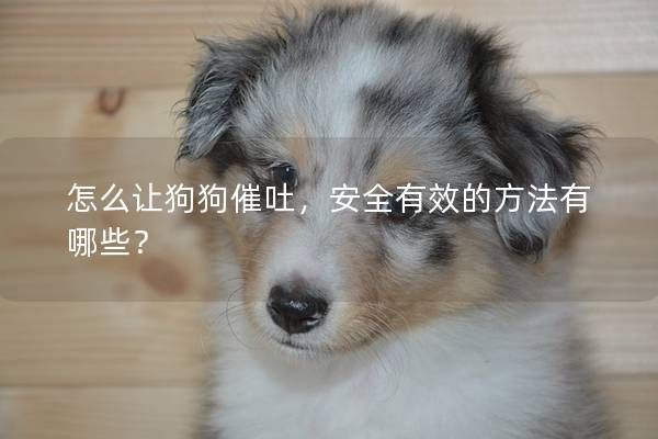 怎么讓狗狗催吐，安全有效的方法有哪些？
