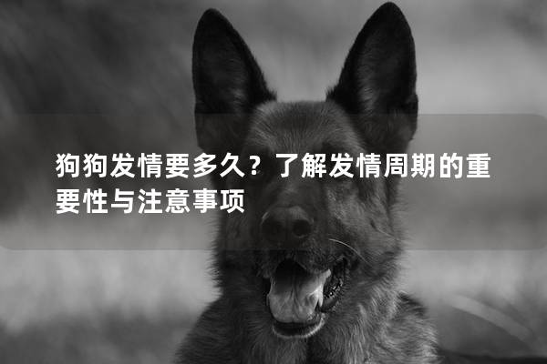 狗狗發情要多久?了解發情周期的重要性與注意事項 狗狗發情要多久?了解發情周期的重要性與注意事項