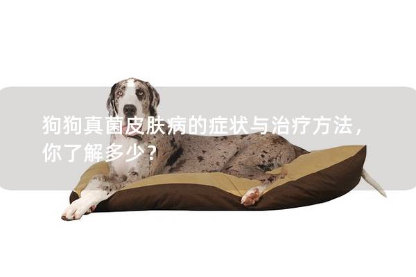 狗狗真菌皮膚病的癥狀與治療方法，你了解多少？