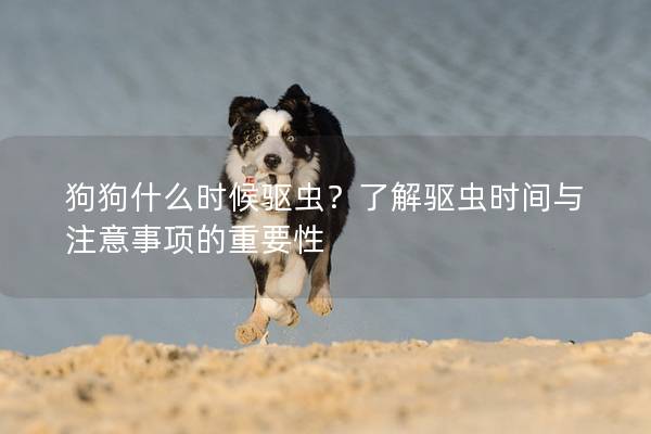 狗狗什么時(shí)候驅(qū)蟲(chóng)？了解驅(qū)蟲(chóng)時(shí)間與注意事項(xiàng)的重要性
