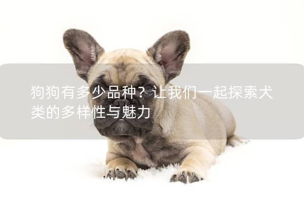 狗狗有多少品種？讓我們一起探索犬類的多樣性與魅力