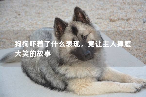 狗狗嚇著了什么表現，竟讓主人捧腹大笑的故事