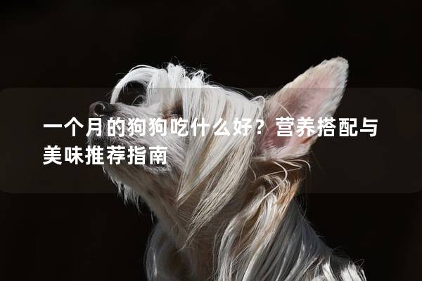 一個月的狗狗吃什么好？營養搭配與美味推薦指南