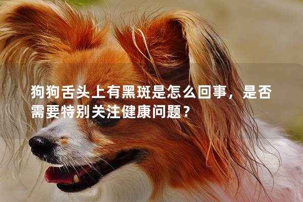 狗狗舌頭上有黑斑是怎么回事，是否需要特別關(guān)注健康問題？