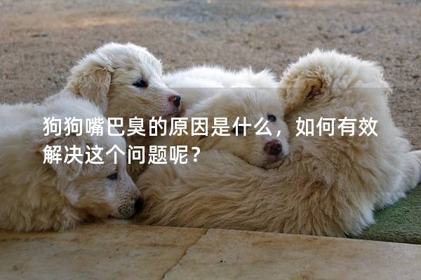 狗狗嘴巴臭的原因是什么，如何有效解決這個問題呢？