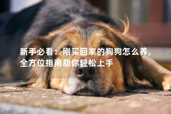 新手必看：剛買回家的狗狗怎么養,全方位指南助你輕松上手