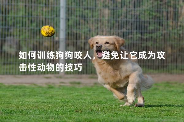 如何訓練狗狗咬人，避免讓它成為攻擊性動物的技巧