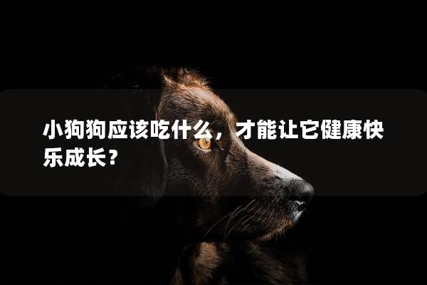 小狗狗應該吃什么,才能讓它健康快樂成長? 小狗狗應該吃什么,才能讓它健康快樂成長?