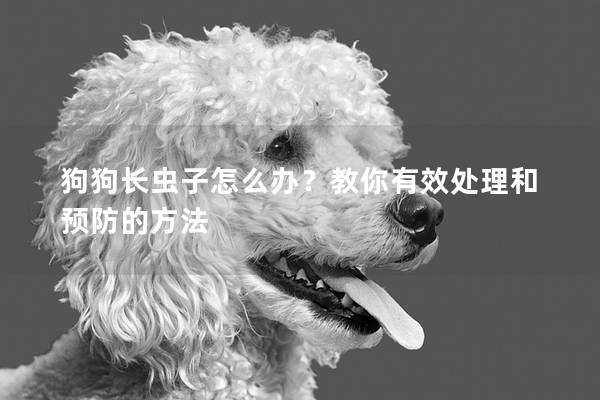狗狗長(zhǎng)蟲子怎么辦？教你有效處理和預(yù)防的方法