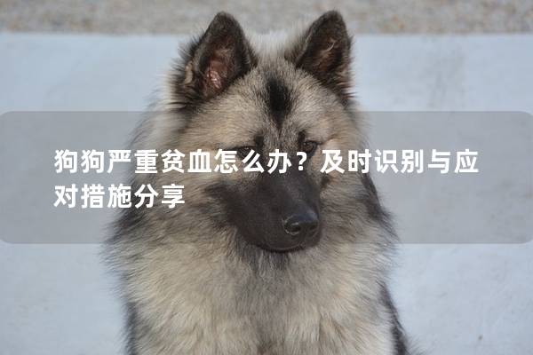 狗狗嚴(yán)重貧血怎么辦？及時(shí)識(shí)別與應(yīng)對(duì)措施分享
