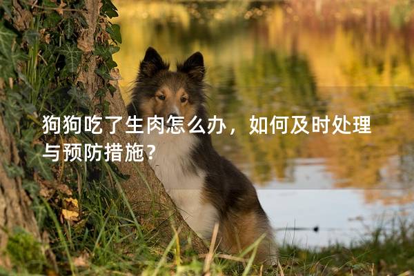 狗狗吃了生肉怎么辦，如何及時(shí)處理與預(yù)防措施？
