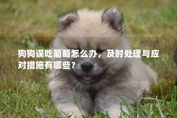 狗狗誤吃葡萄怎么辦，及時處理與應(yīng)對措施有哪些？