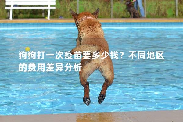 狗狗打一次疫苗要多少錢？不同地區(qū)的費用差異分析