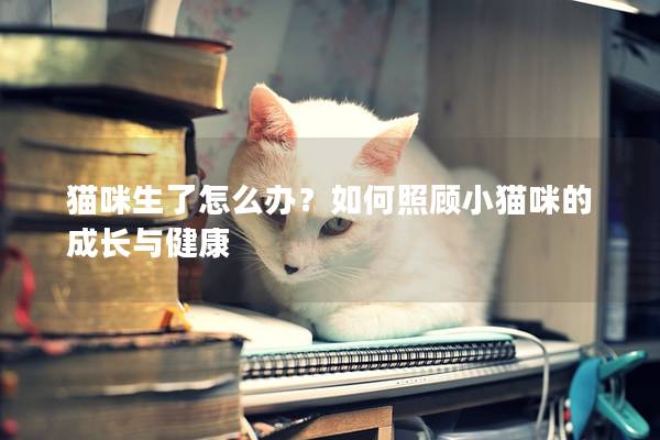 貓咪生了怎么辦？如何照顧小貓咪的成長與健康