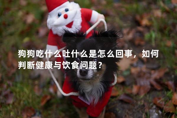狗狗吃什么吐什么是怎么回事，如何判斷健康與飲食問題？