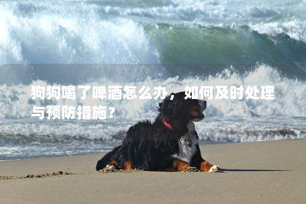 狗狗喝了啤酒怎么辦，如何及時處理與預防措施？