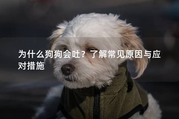 為什么狗狗會(huì)吐？了解常見原因與應(yīng)對(duì)措施