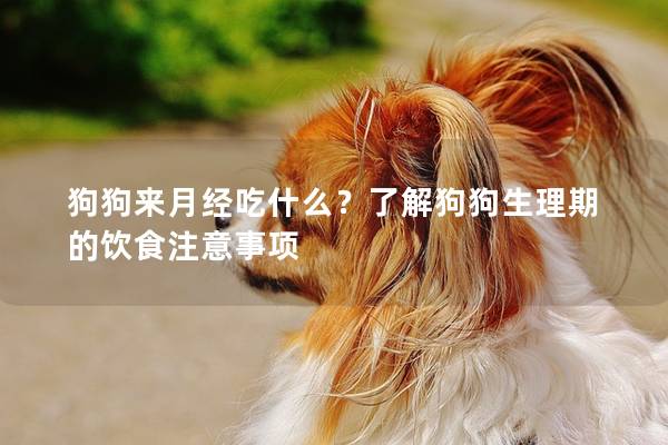 狗狗來月經(jīng)吃什么？了解狗狗生理期的飲食注意事項