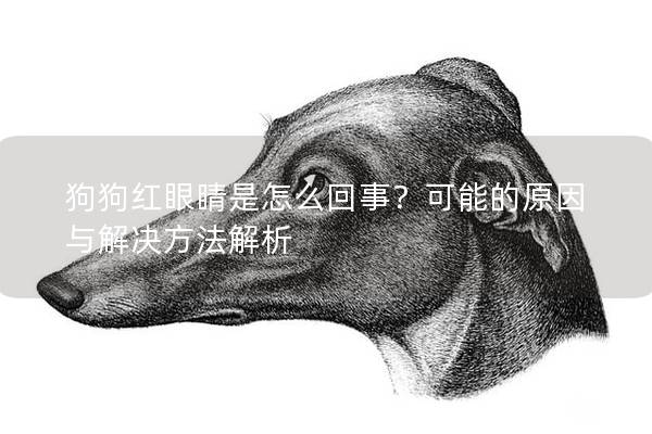 狗狗紅眼睛是怎么回事？可能的原因與解決方法解析