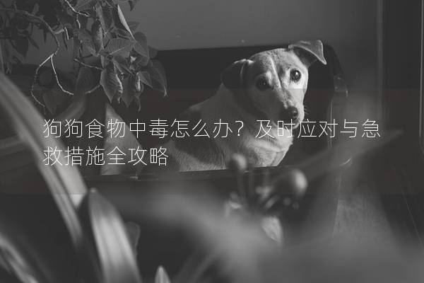 狗狗食物中毒怎么辦？及時應對與急救措施全攻略
