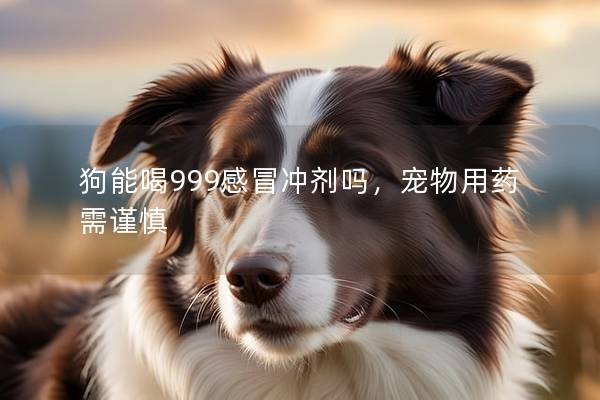 狗能喝999感冒沖劑嗎，寵物用藥需謹慎