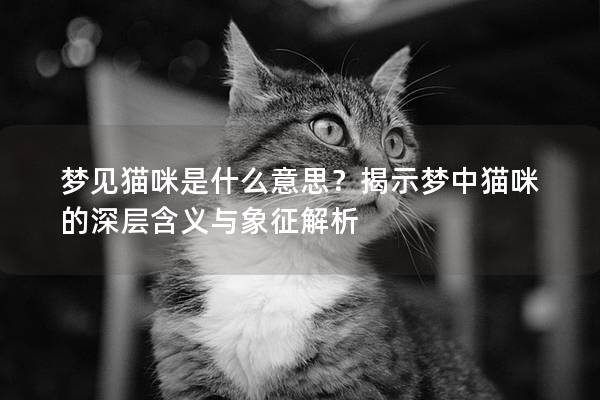夢見貓咪是什么意思？揭示夢中貓咪的深層含義與象征解析