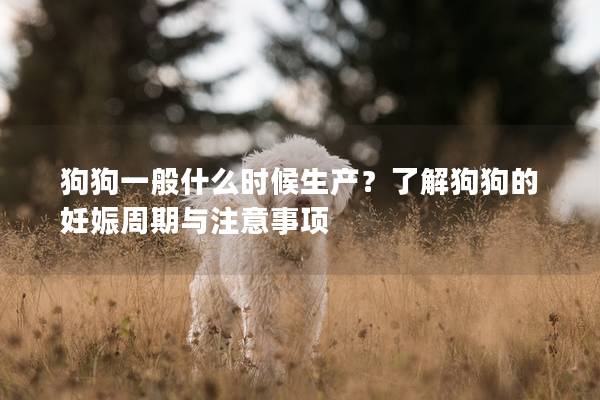 狗狗一般什么時候生產？了解狗狗的妊娠周期與注意事項