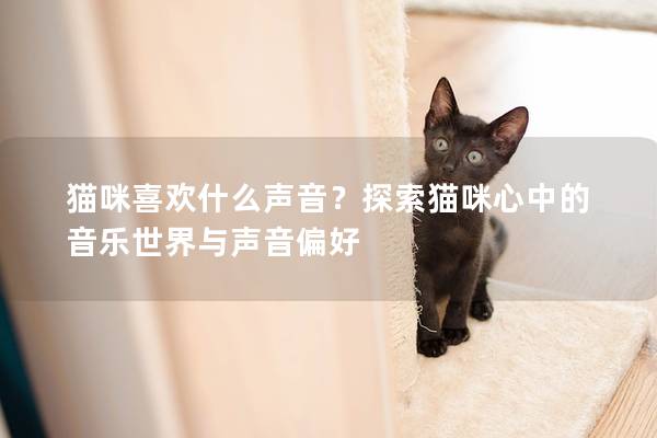 貓咪喜歡什么聲音？探索貓咪心中的音樂世界與聲音偏好