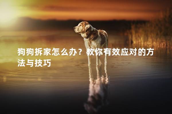 狗狗拆家怎么辦？教你有效應(yīng)對的方法與技巧