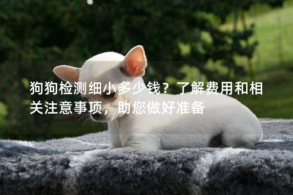 狗狗檢測(cè)細(xì)小多少錢？了解費(fèi)用和相關(guān)注意事項(xiàng)，助您做好準(zhǔn)備
