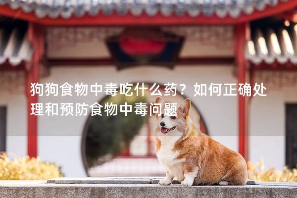 狗狗食物中毒吃什么藥？如何正確處理和預防食物中毒問題