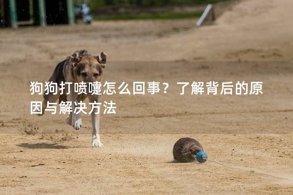 狗狗打噴嚏怎么回事?了解背后的原因與解決方法 狗狗打噴嚏怎么回事?了解背后的原因與解決方法