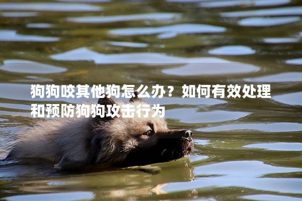 狗狗咬其他狗怎么辦？如何有效處理和預(yù)防狗狗攻擊行為