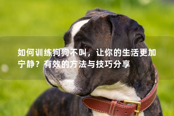 如何訓(xùn)練狗狗不叫，讓你的生活更加寧?kù)o？有效的方法與技巧分享