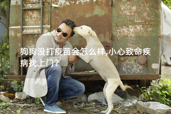 狗狗沒打疫苗會(huì)怎么樣,小心致命疾病找上門？