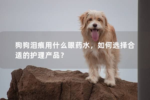 狗狗淚痕用什么眼藥水，如何選擇合適的護(hù)理產(chǎn)品？