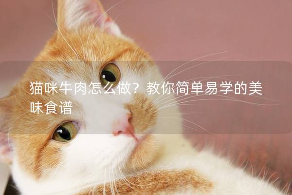 貓咪牛肉怎么做？教你簡單易學的美味食譜