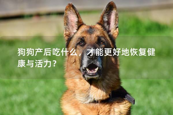 狗狗產(chǎn)后吃什么，才能更好地恢復(fù)健康與活力？