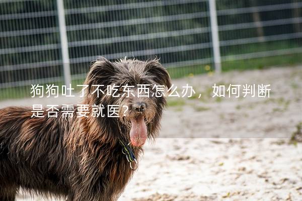 狗狗吐了不吃東西怎么辦，如何判斷是否需要就醫？