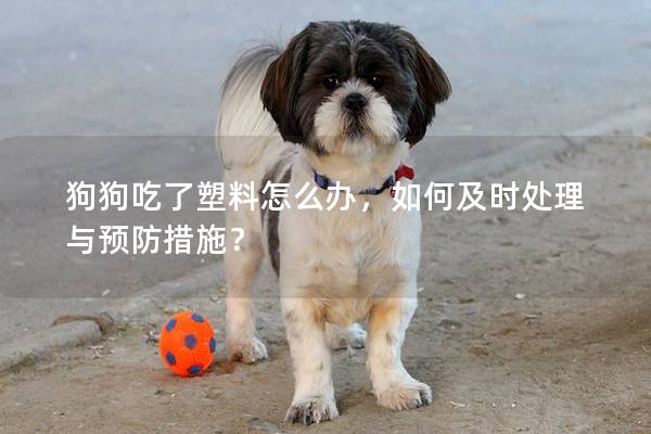 狗狗吃了塑料怎么辦，如何及時處理與預防措施？
