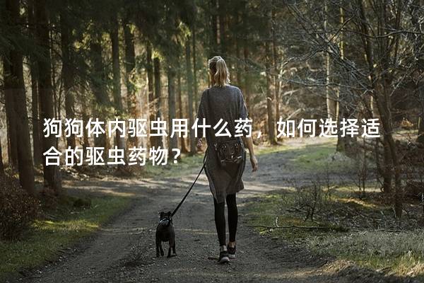 狗狗體內驅蟲用什么藥,如何選擇適合的驅蟲藥物? 狗狗體內驅蟲用什么藥,如何選擇適合的驅蟲藥物?