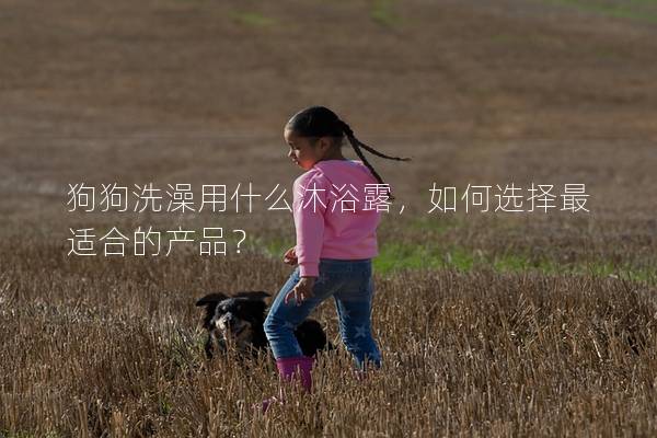 狗狗洗澡用什么沐浴露，如何選擇最適合的產品？