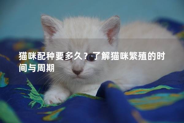 貓咪配種要多久?了解貓咪繁殖的時間與周期 貓咪配種要多久?了解貓咪繁殖的時間與周期