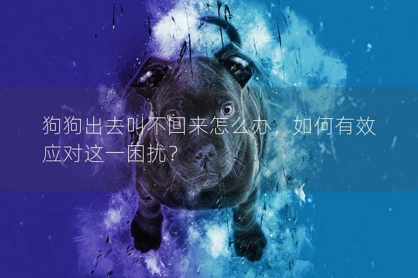 狗狗出去叫不回來怎么辦，如何有效應對這一困擾？