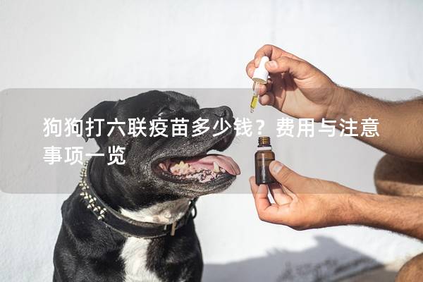 狗狗打六聯疫苗多少錢?費用與注意事項一覽 狗狗打六聯疫苗多少錢?費用與注意事項一覽