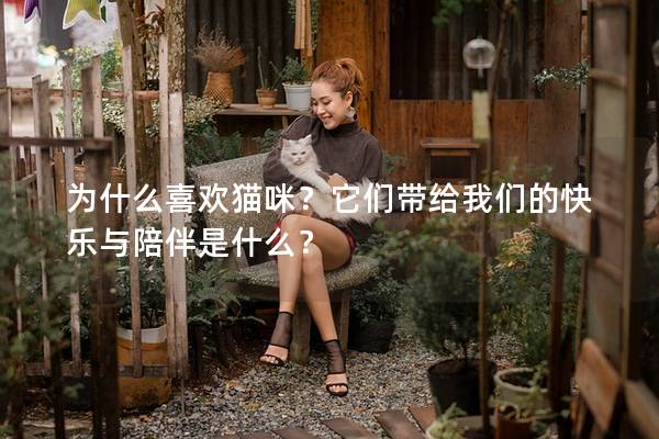 為什么喜歡貓咪？它們帶給我們的快樂與陪伴是什么？