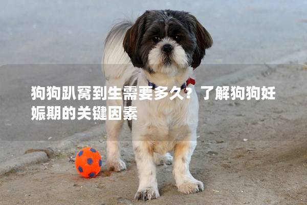 狗狗趴窩到生需要多久？了解狗狗妊娠期的關(guān)鍵因素