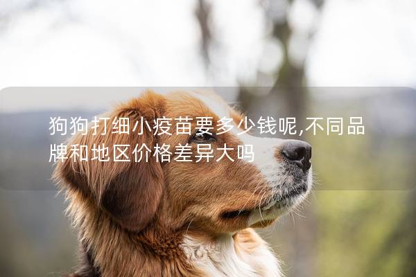 狗狗打細(xì)小疫苗要多少錢呢,不同品牌和地區(qū)價格差異大嗎