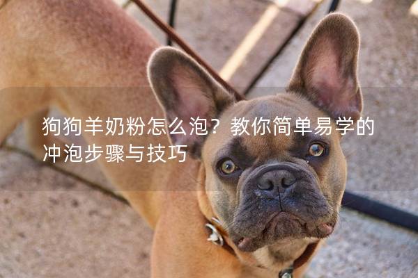 狗狗羊奶粉怎么泡？教你簡單易學的沖泡步驟與技巧
